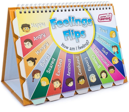 Feelings Flip Chart