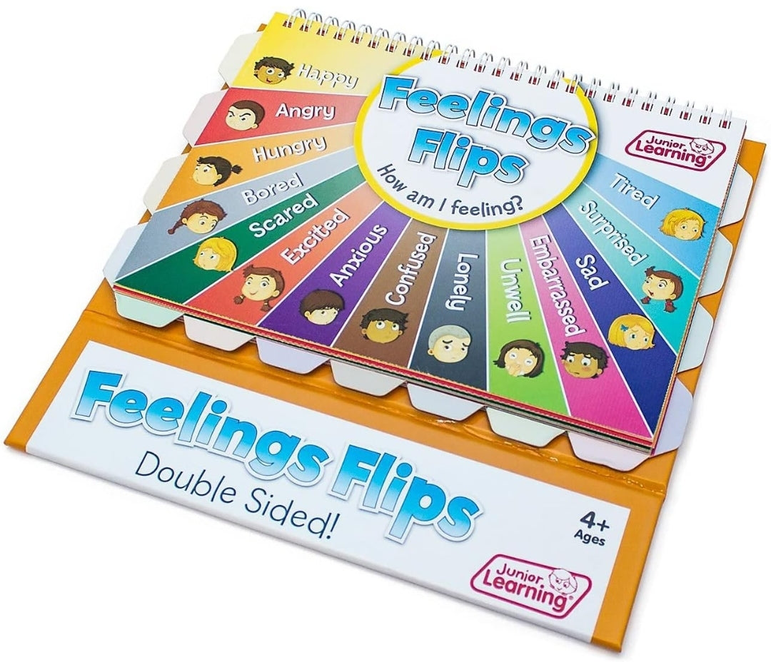 Feelings Flip Chart